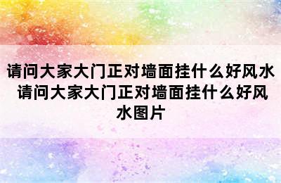 请问大家大门正对墙面挂什么好风水 请问大家大门正对墙面挂什么好风水图片